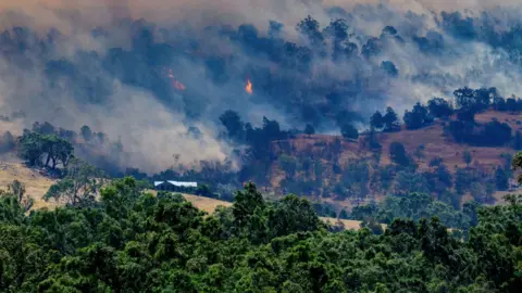 AAP/Michael Currie via REUTERS Smoke rises from a burning forest on a hillside behind a home near Longwood as bushfires continue to burn under severe fire weather conditions.