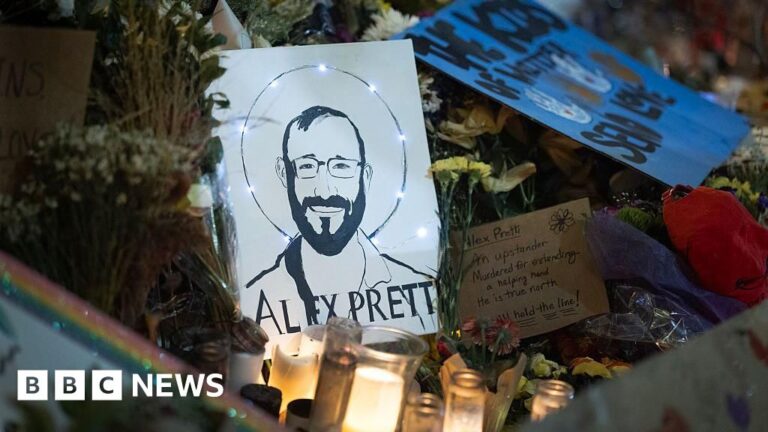 Border agents involved in fatal shooting of Alex Pretti placed on leave