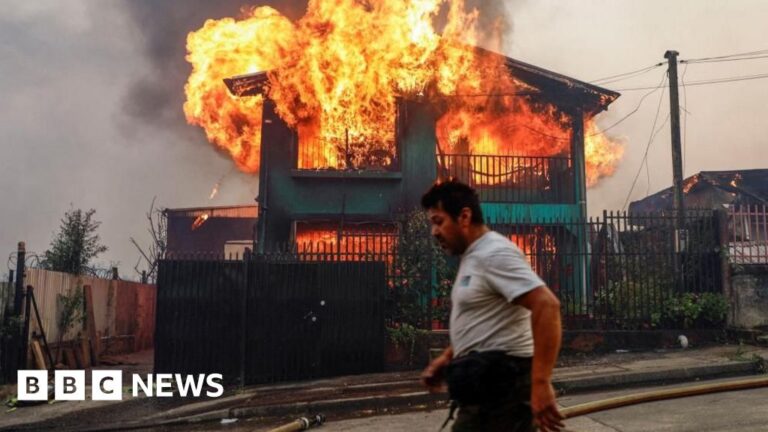 Chile declares ‘state of catastrophe’ as wildfires leave at least 18 dead