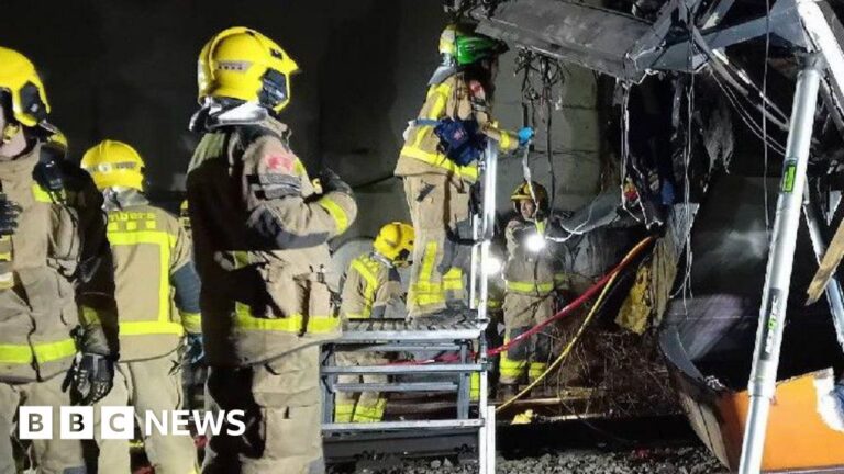 Driver killed and several injured after train derails near Barcelona, local media report