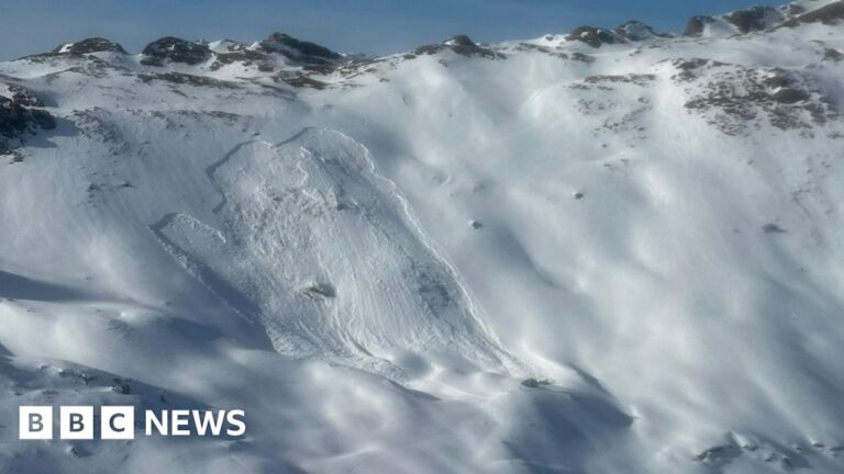 Eight die in Austrian avalanches, rescuers say