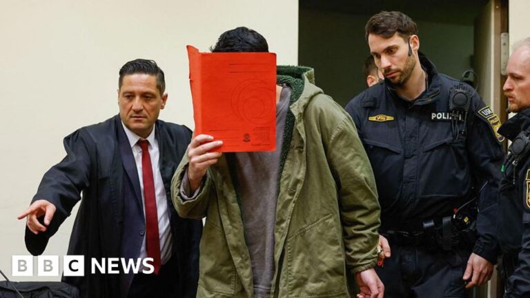 Man accused of murdering woman and toddler in Munich car attack goes on trial