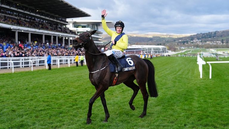 Marine Nationale won last year's Champion Chase