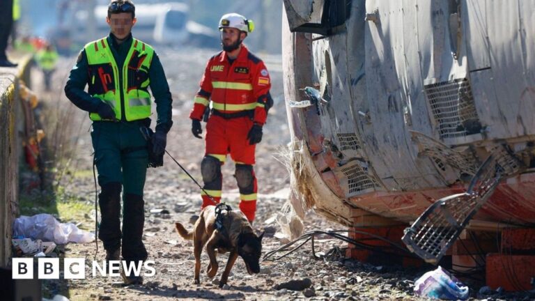 Spain train crash continues as investigators probe ‘gap’ in rail