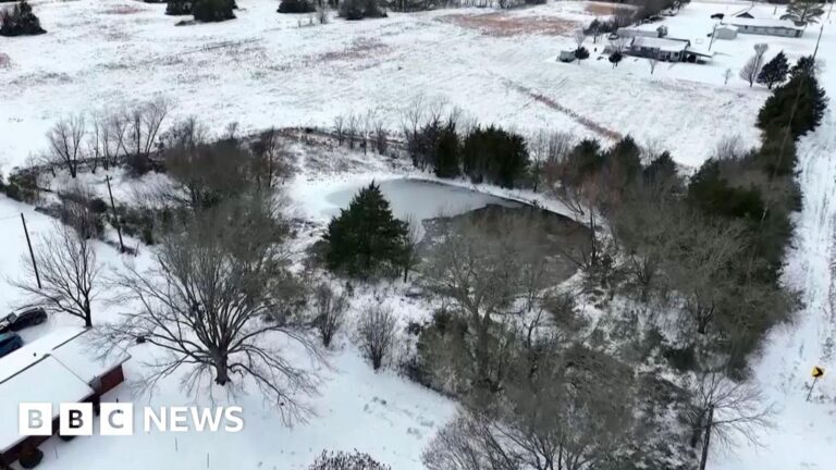 Three brothers die after falling in frozen Texas pond