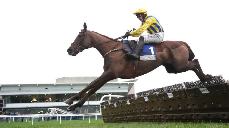 Doctor Steinberg proved too good under Paul Townend