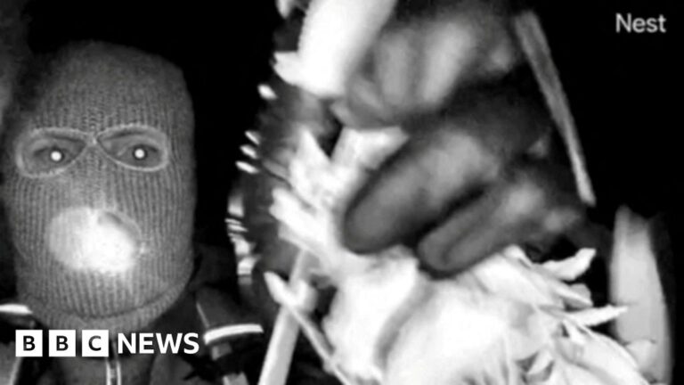 DNA found on glove that may match those in Nancy Guthrie suspect video
