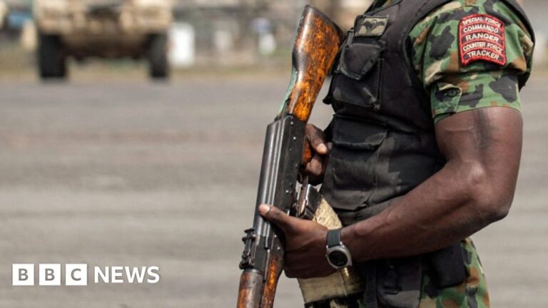 Dozens of Muslims 'massacred' in Nigeria for refusing to join jihadists, says governor