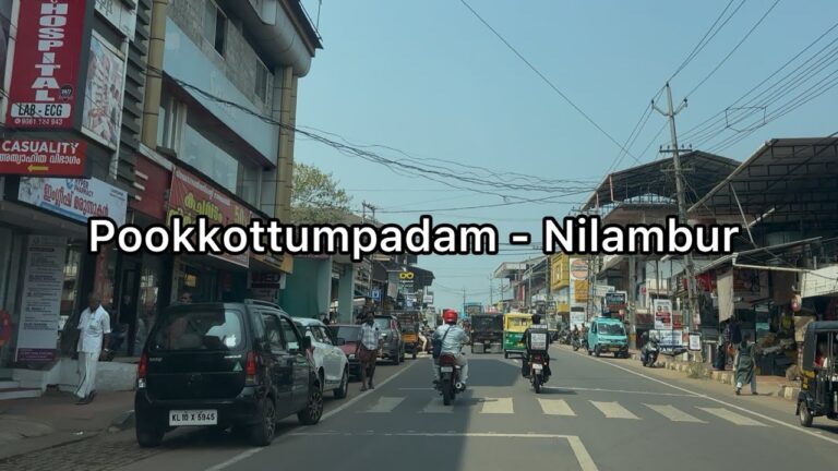 Pookkottumpadam to Nilambur road trip via Malayora Highway | 4K