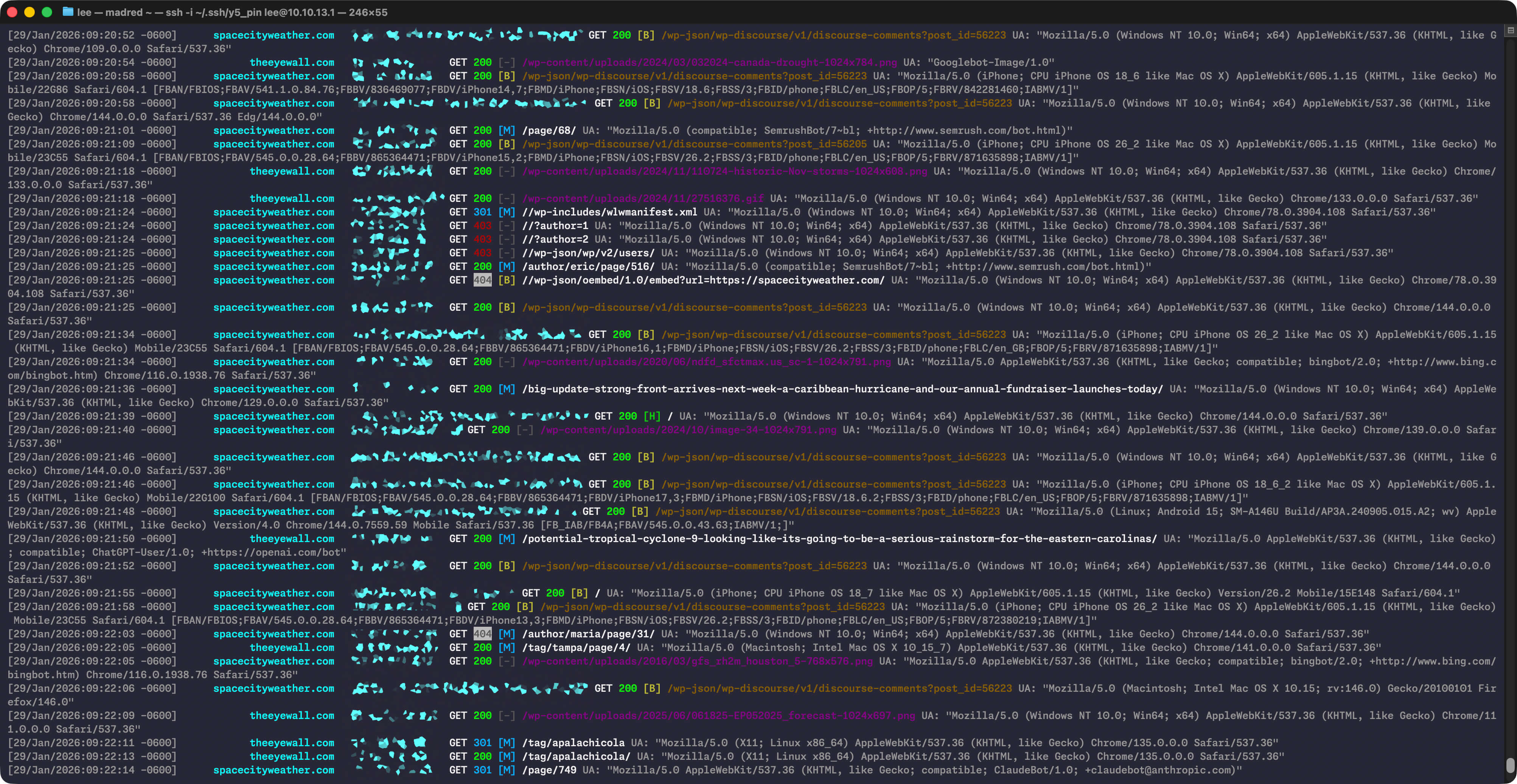 Image of the log colorizer working