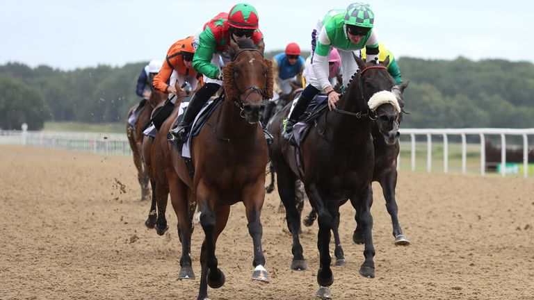 Diligent Harry (left) returns this afternoon
