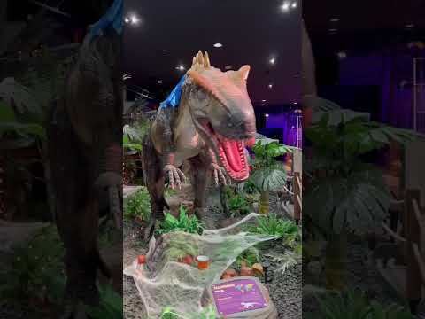 We Went To Dinosaur Outpost In Las Vegas And: