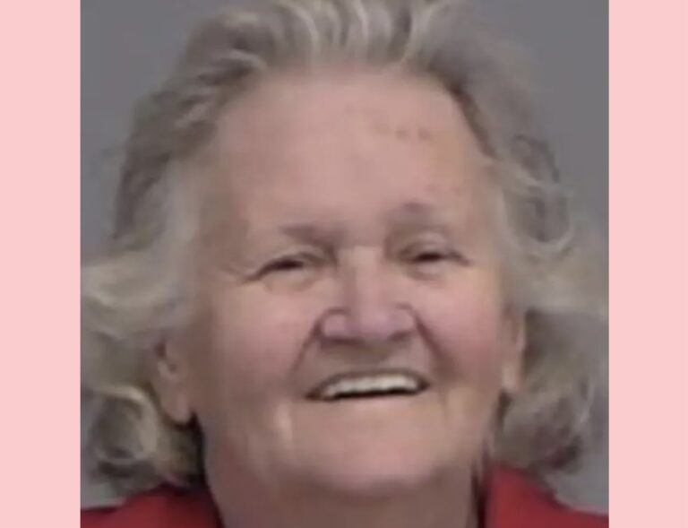 OMG! Grandma Delivers Eerie Mugshot After Toddler Drinks From Meth-Laced Sippy Cup – Disturbing Details!