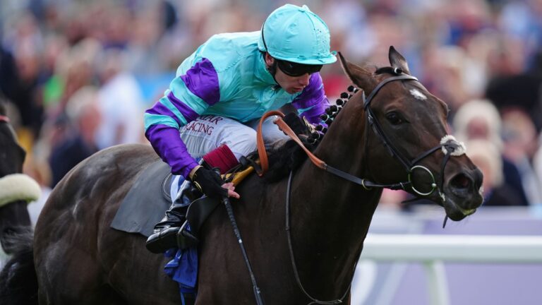Today on Sky Sports Racing: Cool Hoof Luke headlines Lady Wulfruna feature at Wolverhampton | Racing News