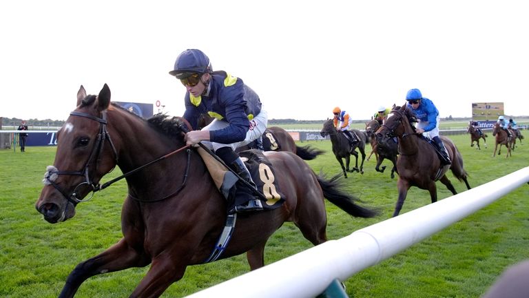 Mubasimah is a filly of interest to Jamie Lynch