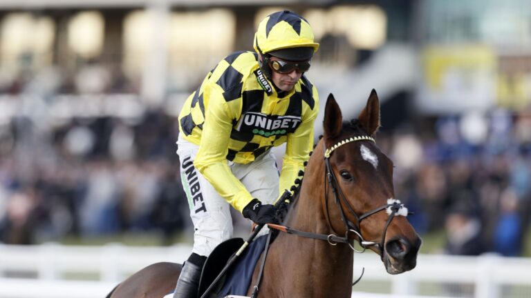 Sir Gino dies: Nicky Henderson’s multiple Grade 1 winner passes away after ‘severe deep-seated infections’ | Racing News