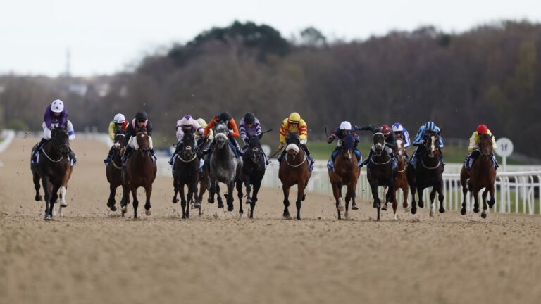 Today on Sky Sports Racing: Fontwell, Lingfield and Newcastle | Racing News