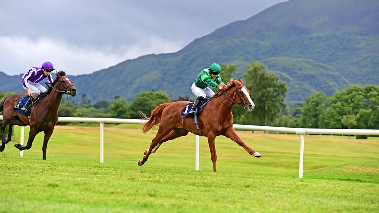 Benvenuto Cellini is a strong Classic contender for Aidan O'Brien (Photo via Healy Racing)