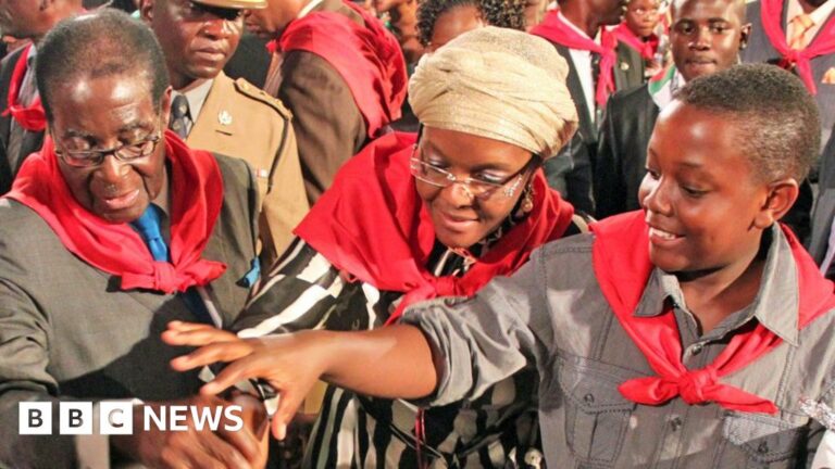 Arrests, accusations and arguments – the Mugabe family after losing power