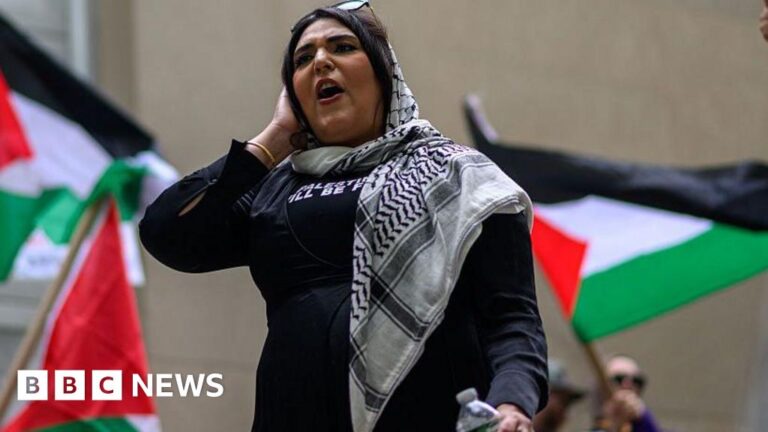 Man arrested over plot to firebomb pro-Palestinian activist's NY home