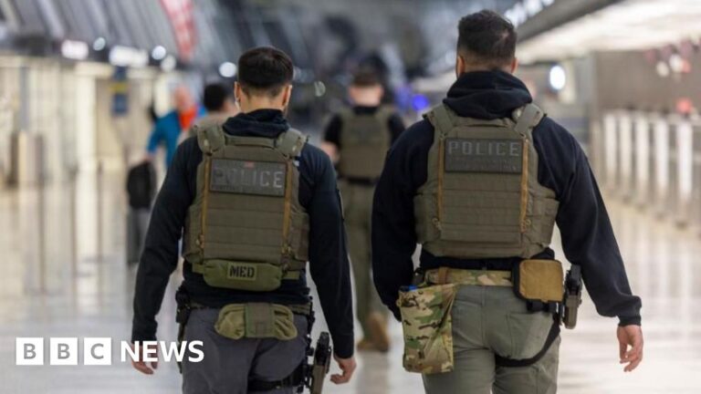 Trump orders paycheques for TSA workers as Congress stalls and airport chaos grinds on