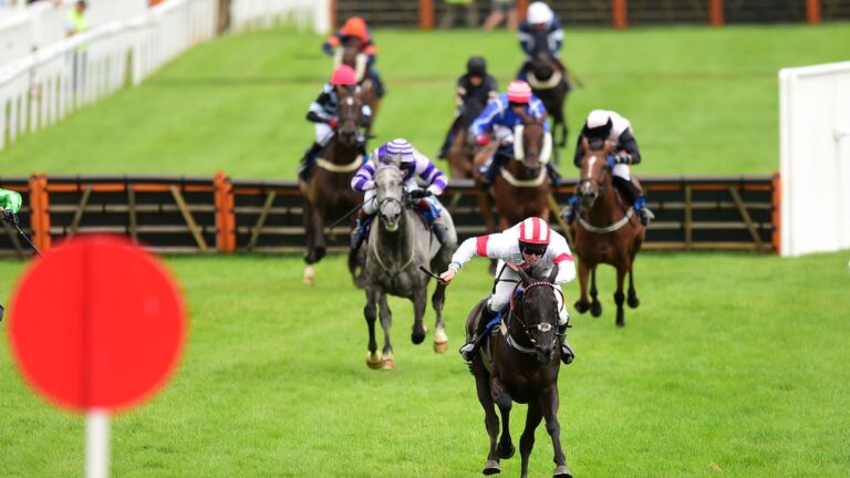 Today on Sky Sports Racing: Newton Abbot and Wolverhampton feature live on Saturday | Racing News