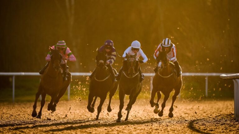 Today on Sky Sports Racing: Wolverhampton & Sedgefield feature on Friday | Racing News