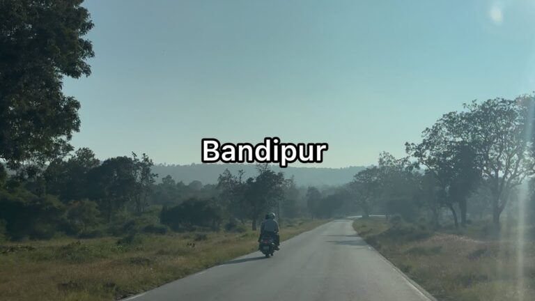 Bandipur Tiger Reserve travel | 4K