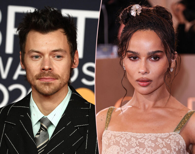 Harry Styles & Zoë Kravitz DON’T Share A Bed Amid Months-Long Relationship & Multiple Trips Together!