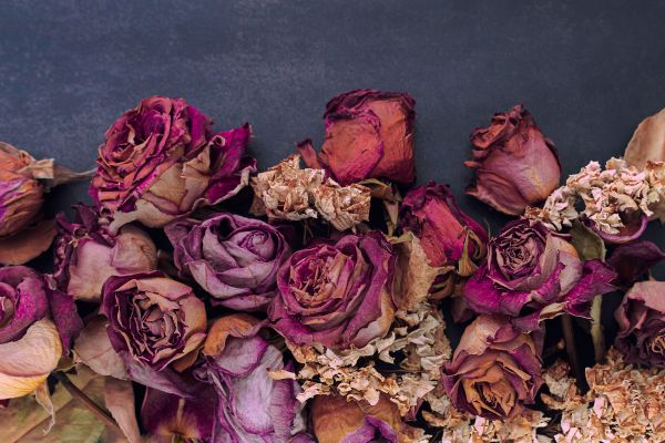 Is Vaginal Dryness Only a Post-Menopausal Issue?