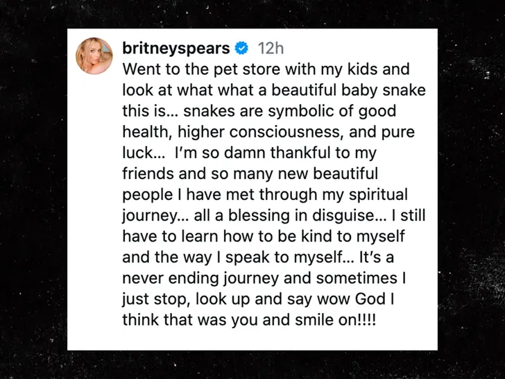 britney spears snake insta 3