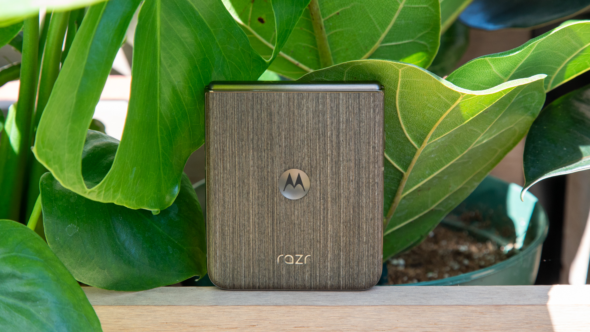 The Razr Ultra 2026 in front of a plant