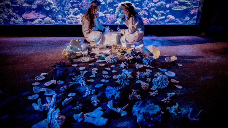 Inside the Labs Racing to Save The World's Coral Reefs