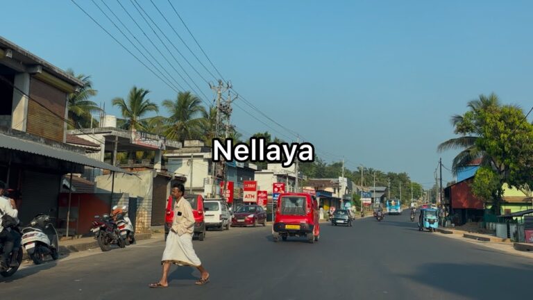 Nellaya city tour 2 | Palakkad district | 4K