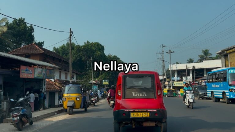 Nellaya city tour | Palakkad district | 4K