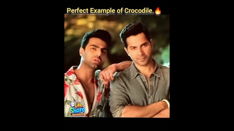 Varun Dhawan Official Trailer | Varun Dhawan Upcoming Movies #trendingnow  #trailerout #shortsfeed
