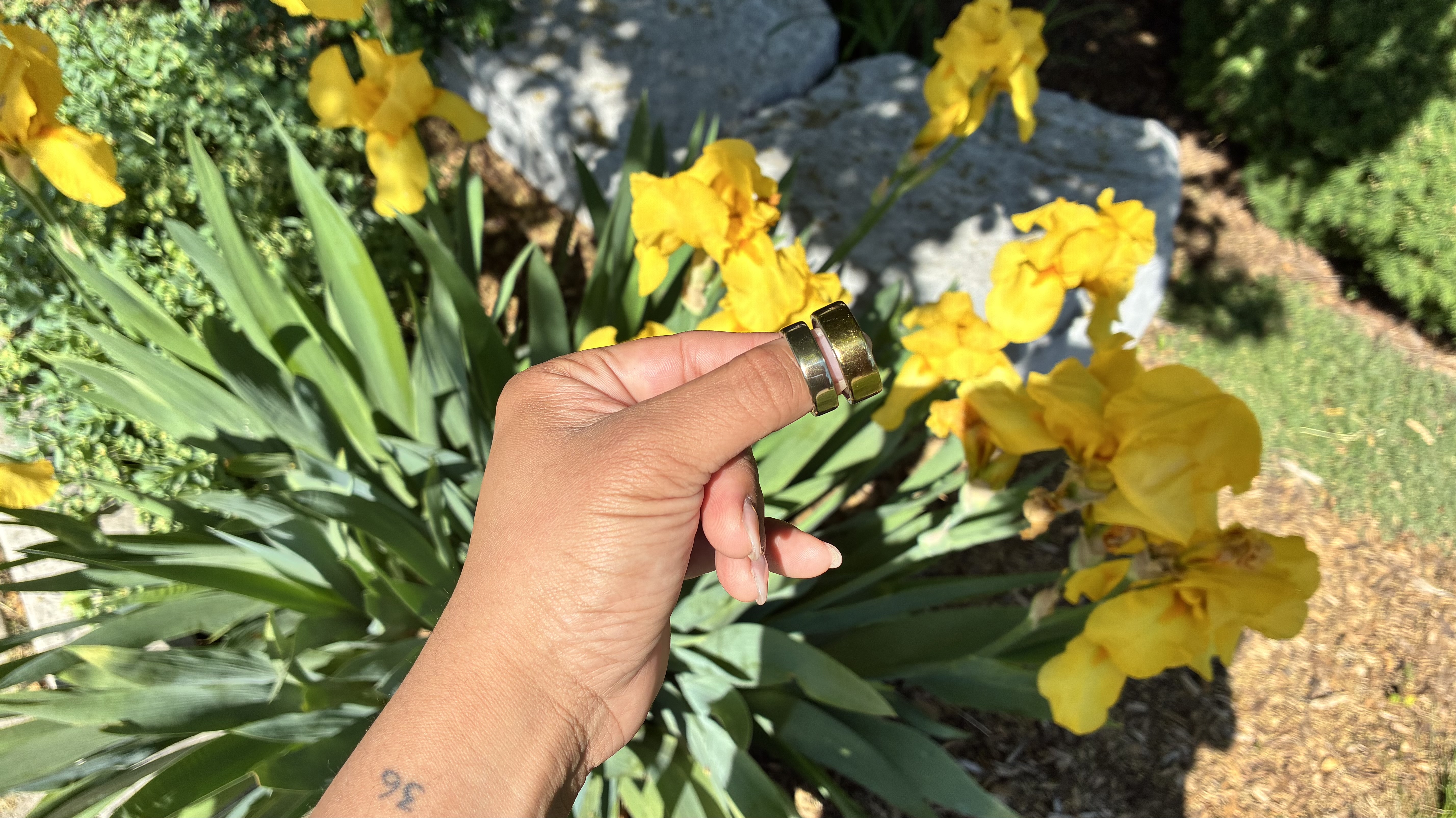 Oura Ring 5 vs. Oura Ring 4