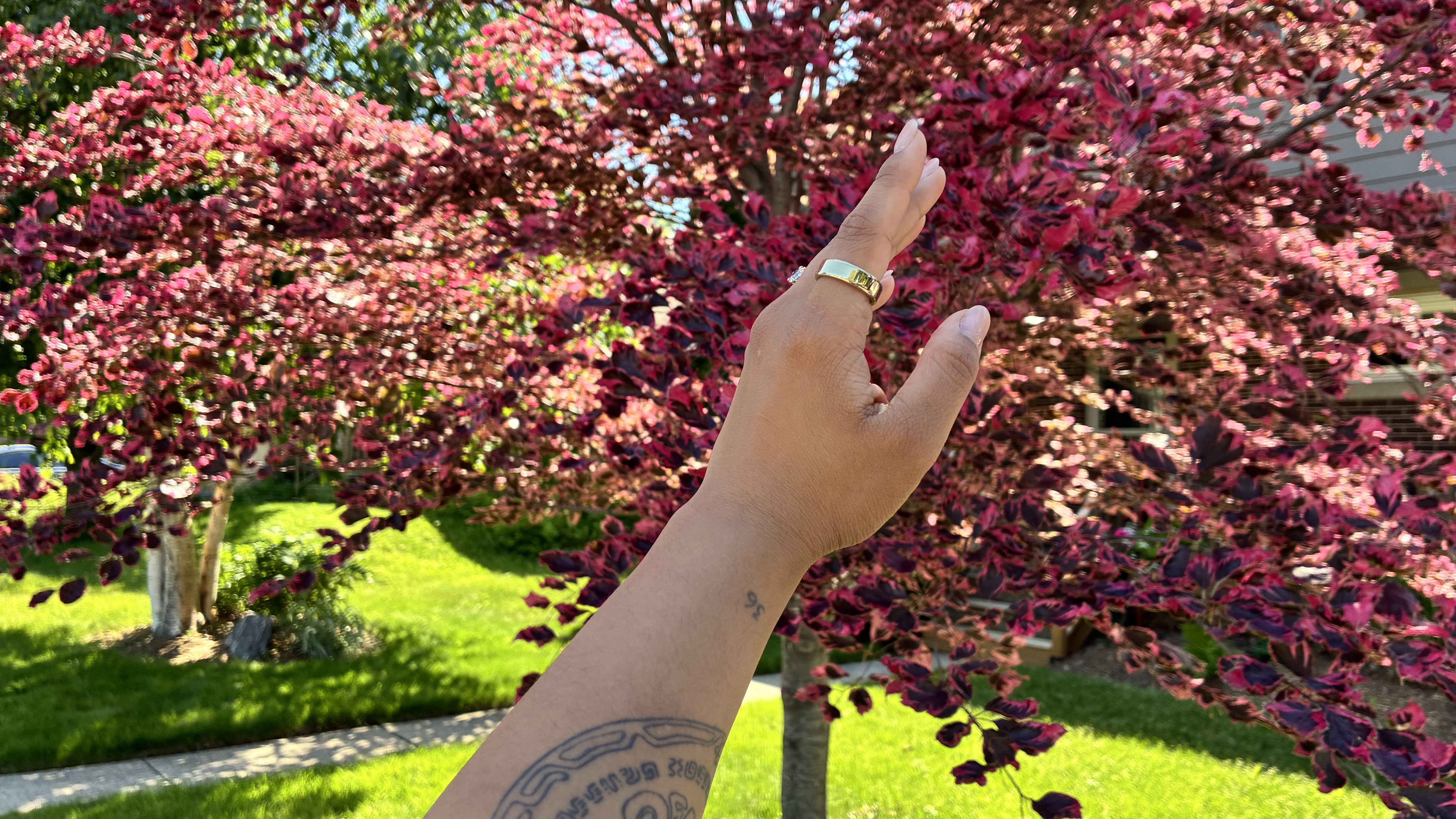 Oura Ring 5