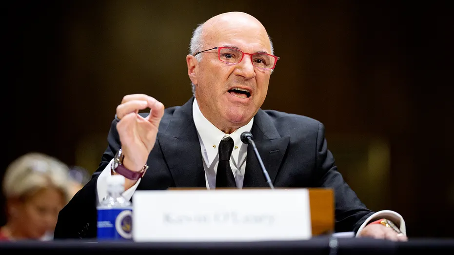 Kevin O'Leary at Senate hearing