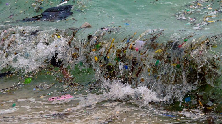 The Ocean's Health Is Deteriorating on Multiple Fronts, U.N. Scientists Warn