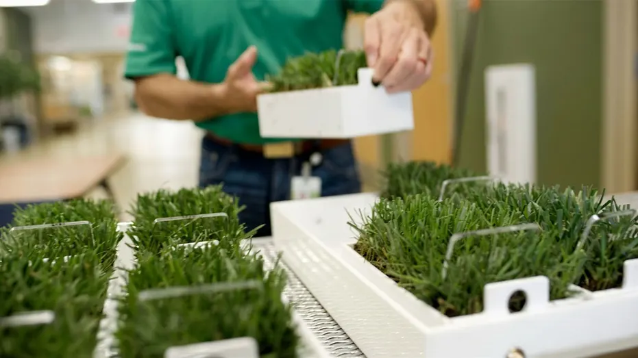 A man holding grass samples in a lab