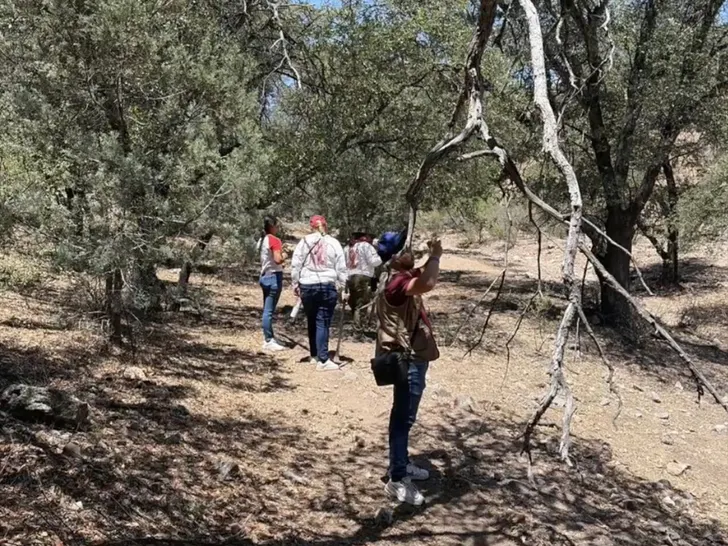 nancy guthrie search Buscando Corazones Nogales via Storyful 2