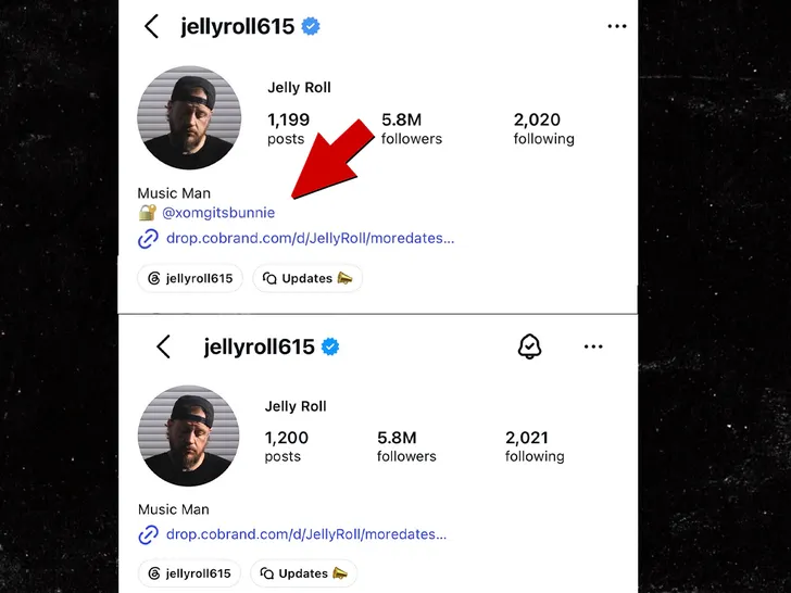 jelly roll removes bunny