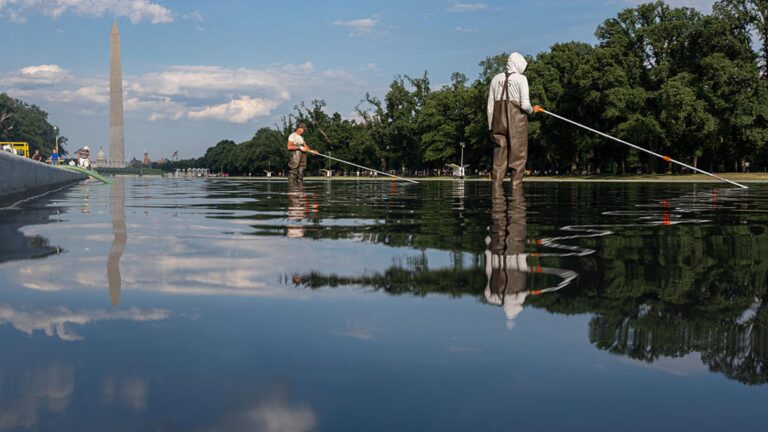 Trump Admin Blames and Arrests Alleged Vandals for Reflecting Pool Problems