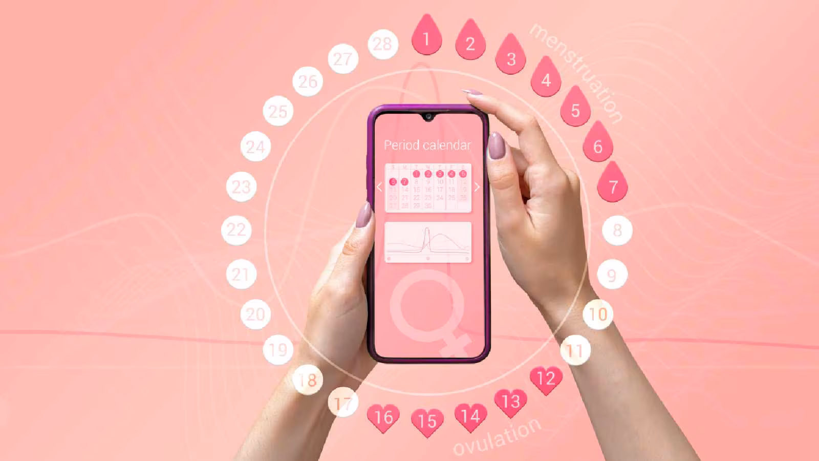 Signs of ovulation