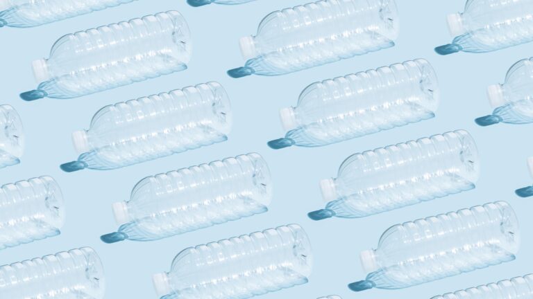 Is It Safe to Leave Bottled Water in the Sun?
