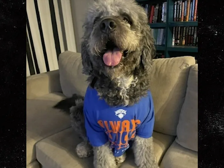 family dog shot killed by lapd 1