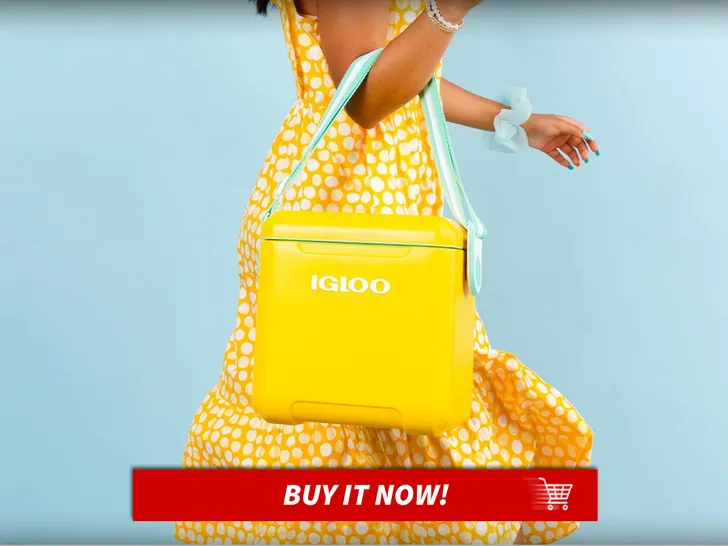 Igloo-Tag-Along-Too-Coole-Summer-Outing-Essentials-MAIN