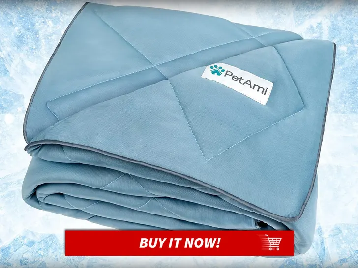 Cooling-Pet-Blanket-Pet-Summer-Essentials-MAIN
