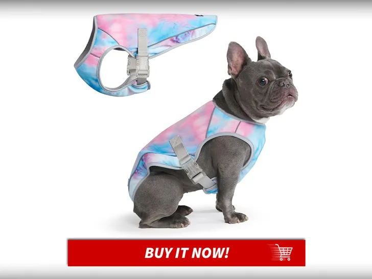 Cooling-Vest-Pet-Summer-Essentials-MAIN